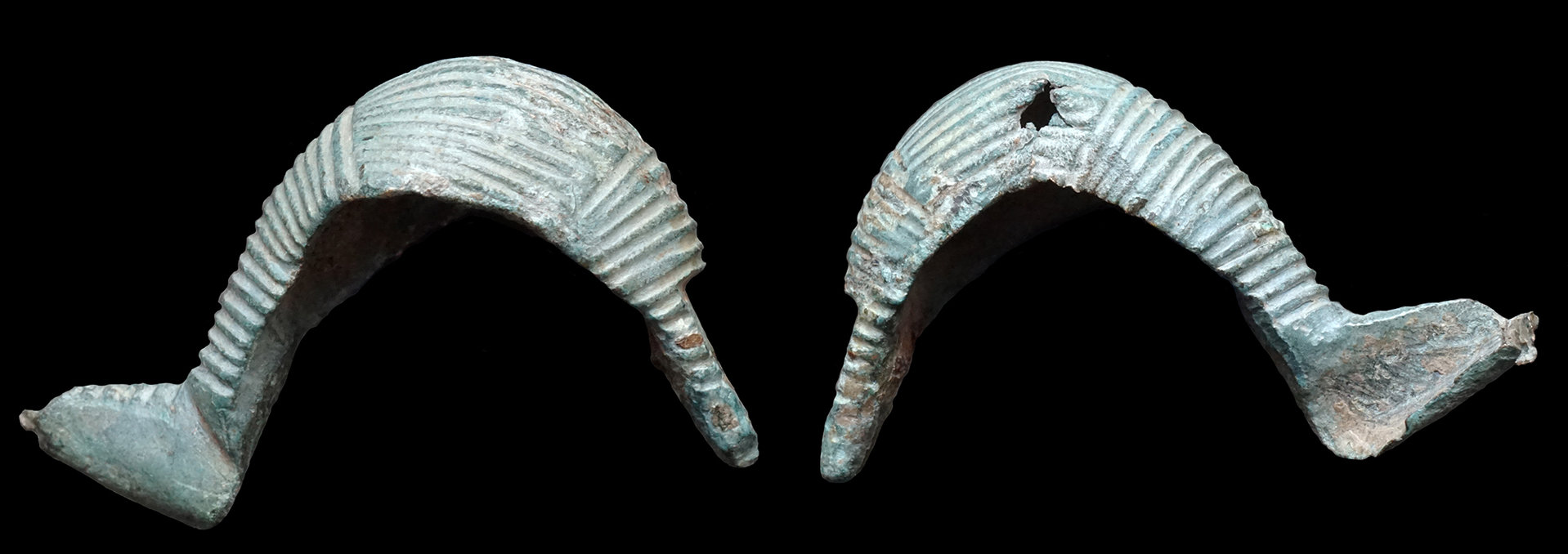 ItalicFibula.jpg