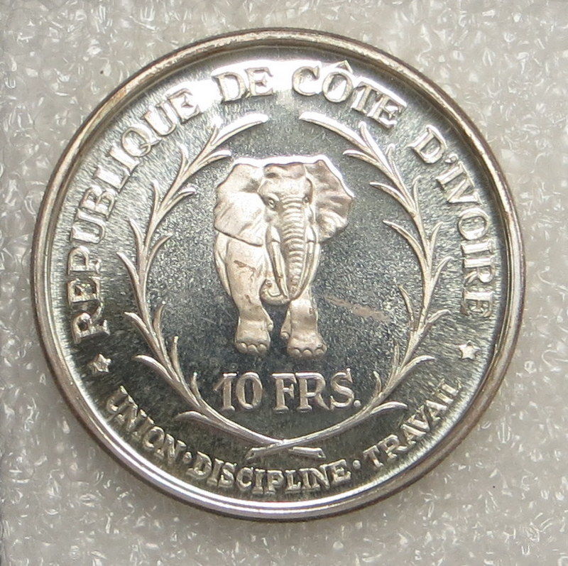 ivory2.jpg