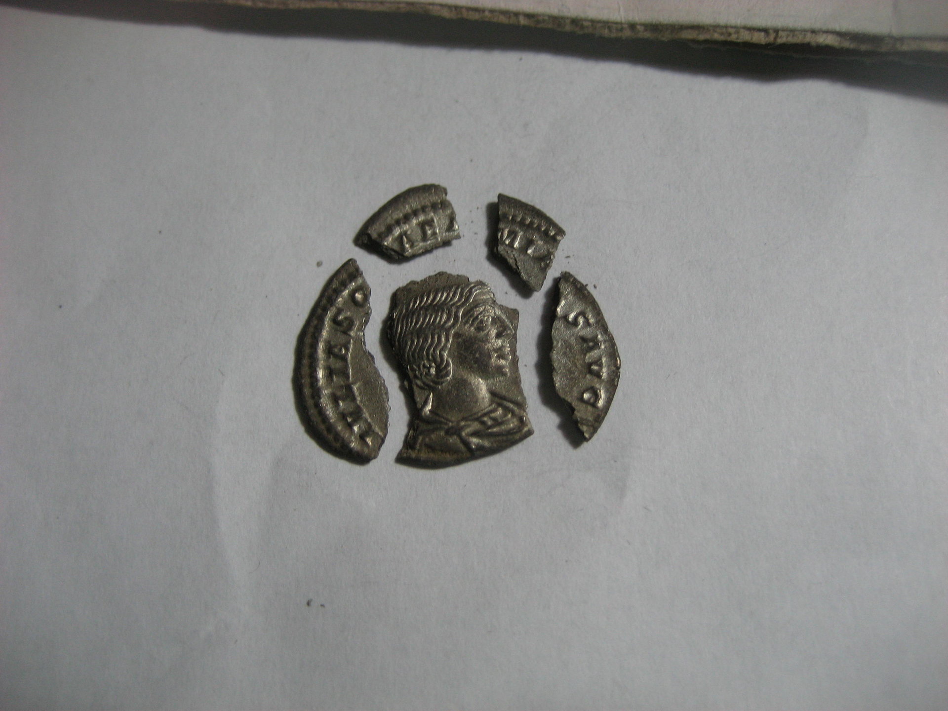 J. Soaemias 5.JPG