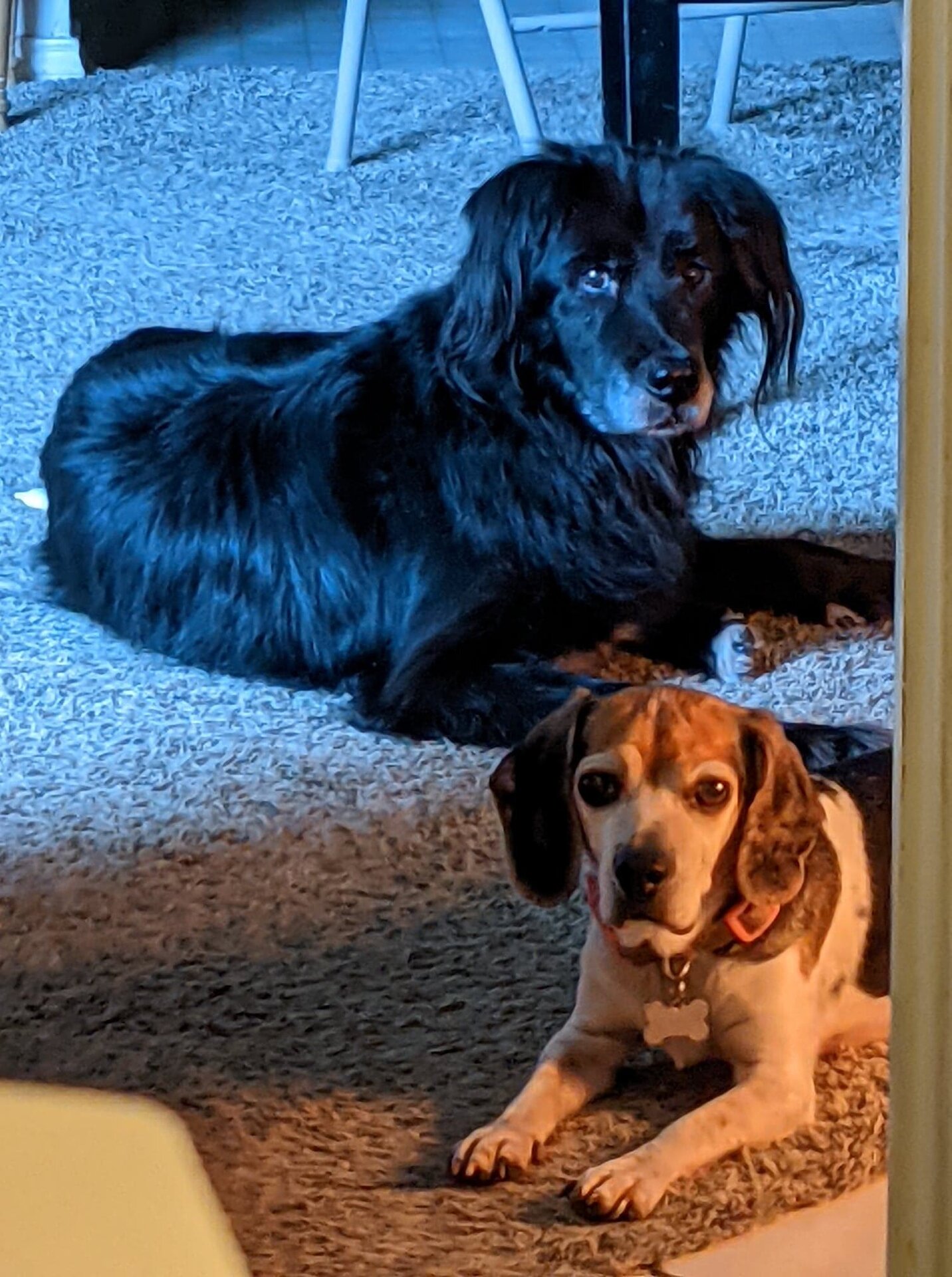 Jack n Shelby 26 Feb 22.jpg