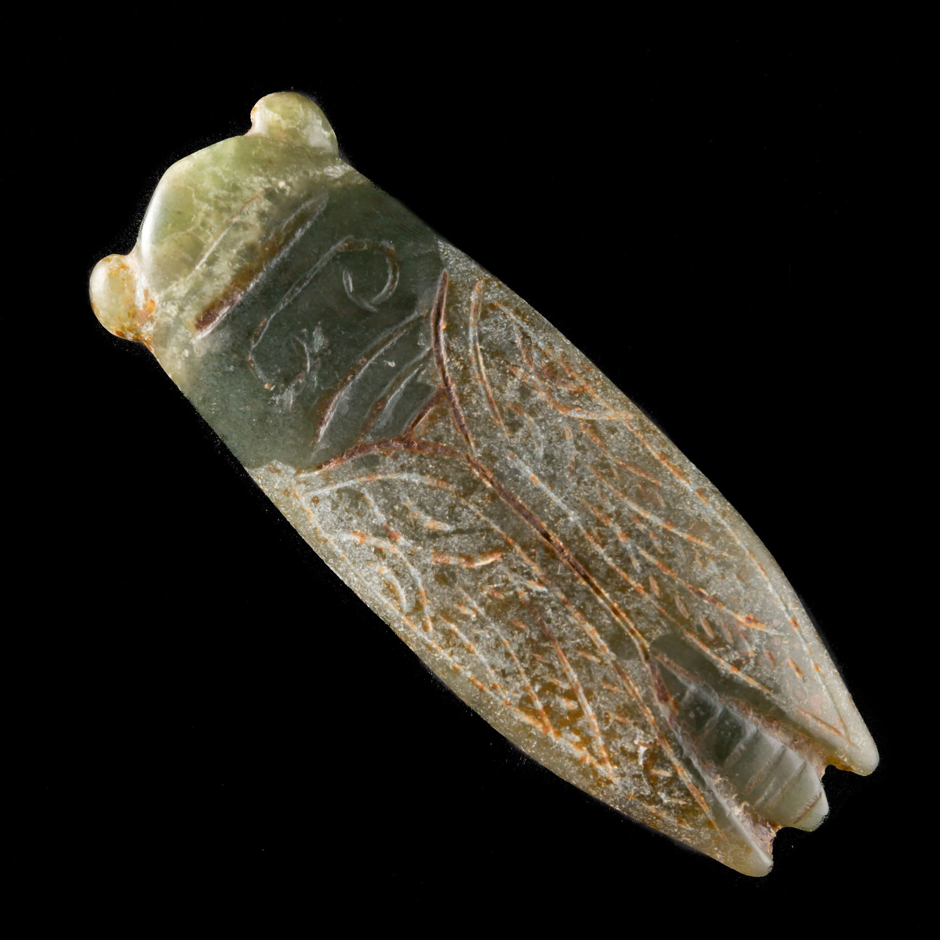 Jade Cicada.jpg