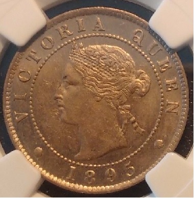 Jamaica 1895.jpg