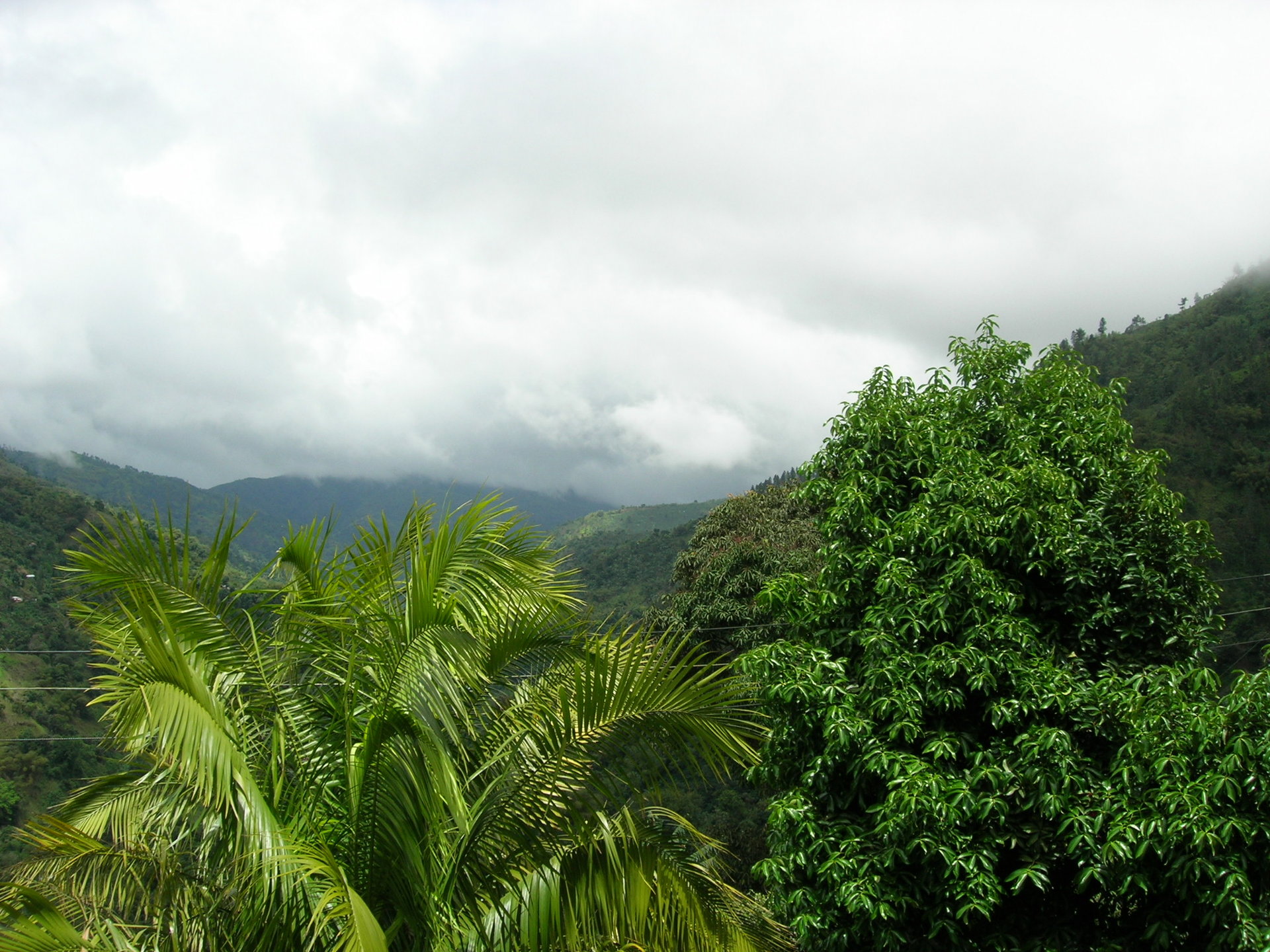 Jamaica 2007 028.jpg