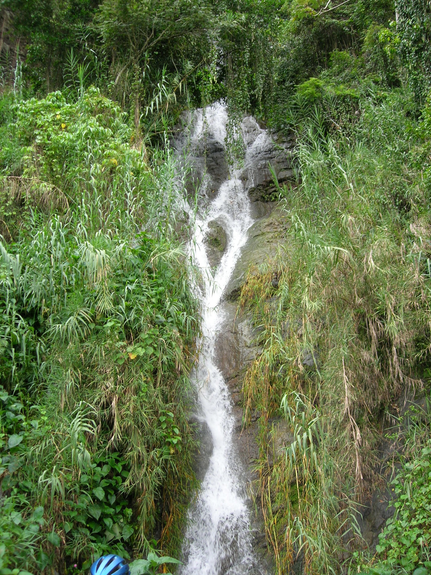 Jamaica 2007 055.jpg