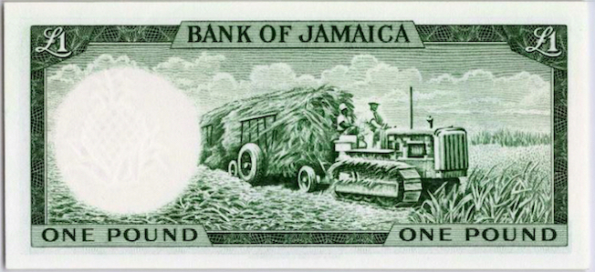 Jamaica_1_P51Ce crop.jpg