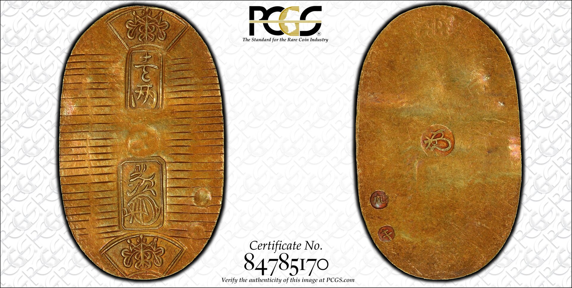 Jap186001.jpg