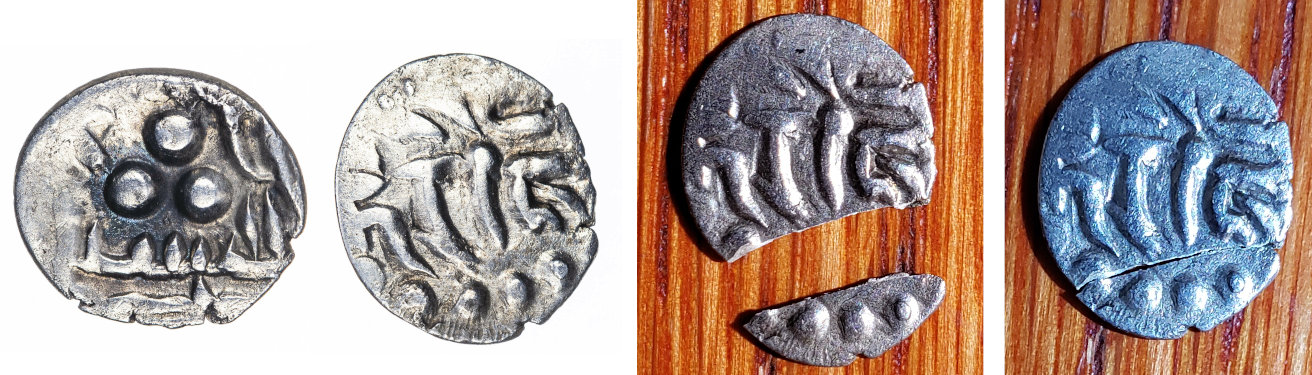 jayanta-raja-cracked.jpg