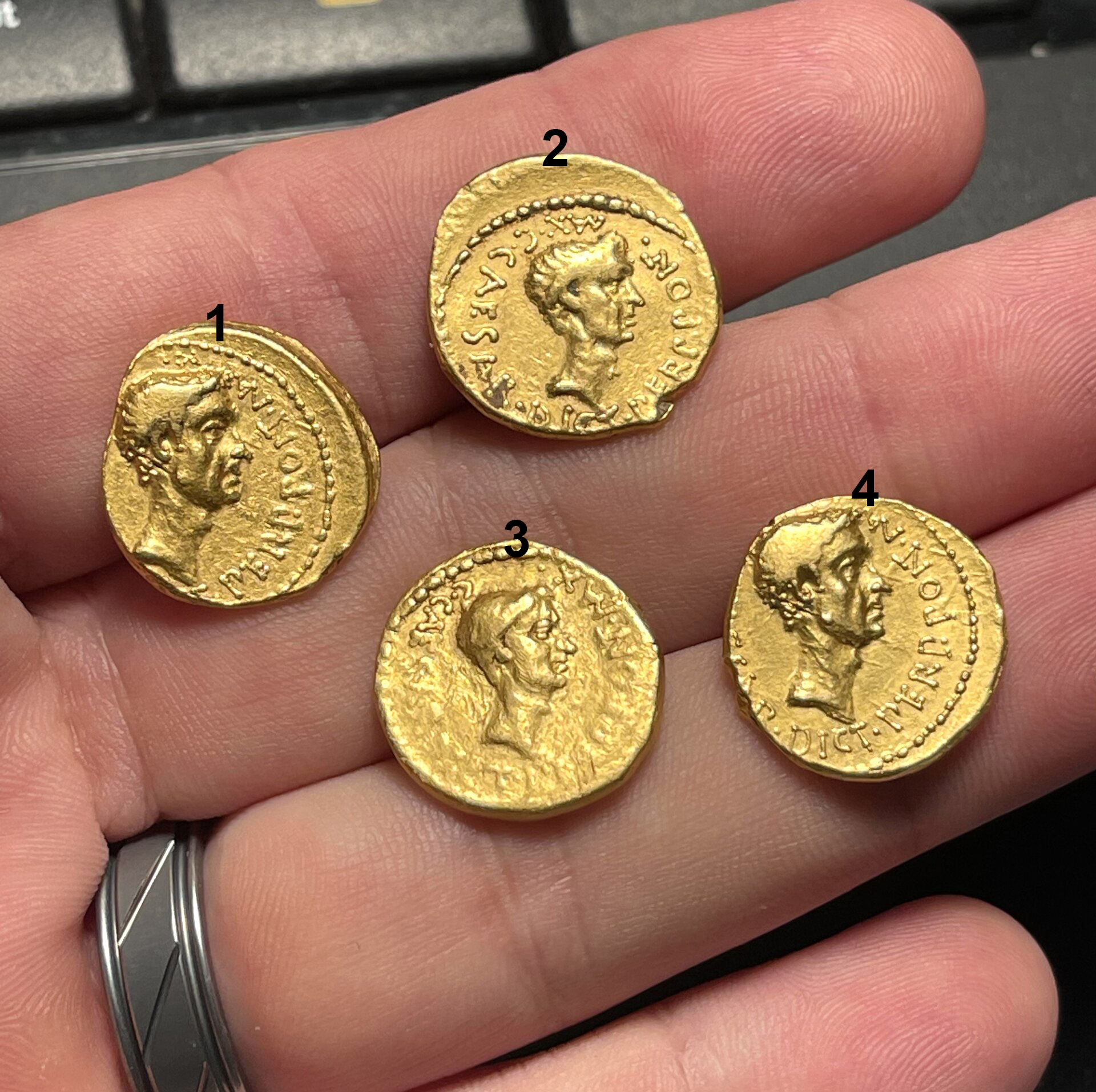 JC aureus.jpg