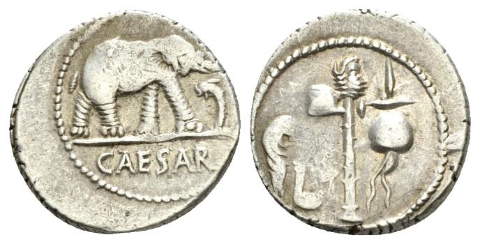 JC elepahnt denarius NN.jpg