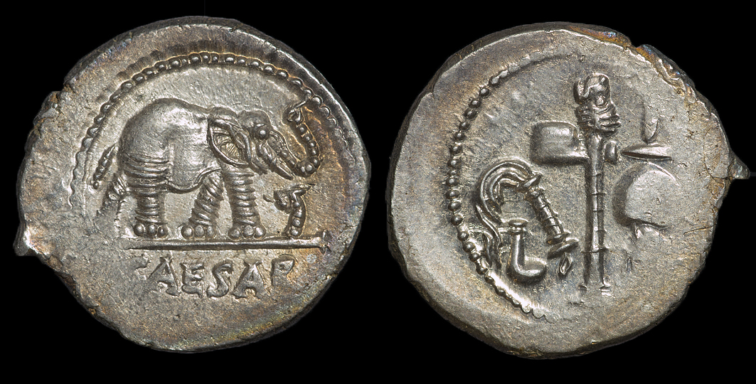 JCElephantII.jpg