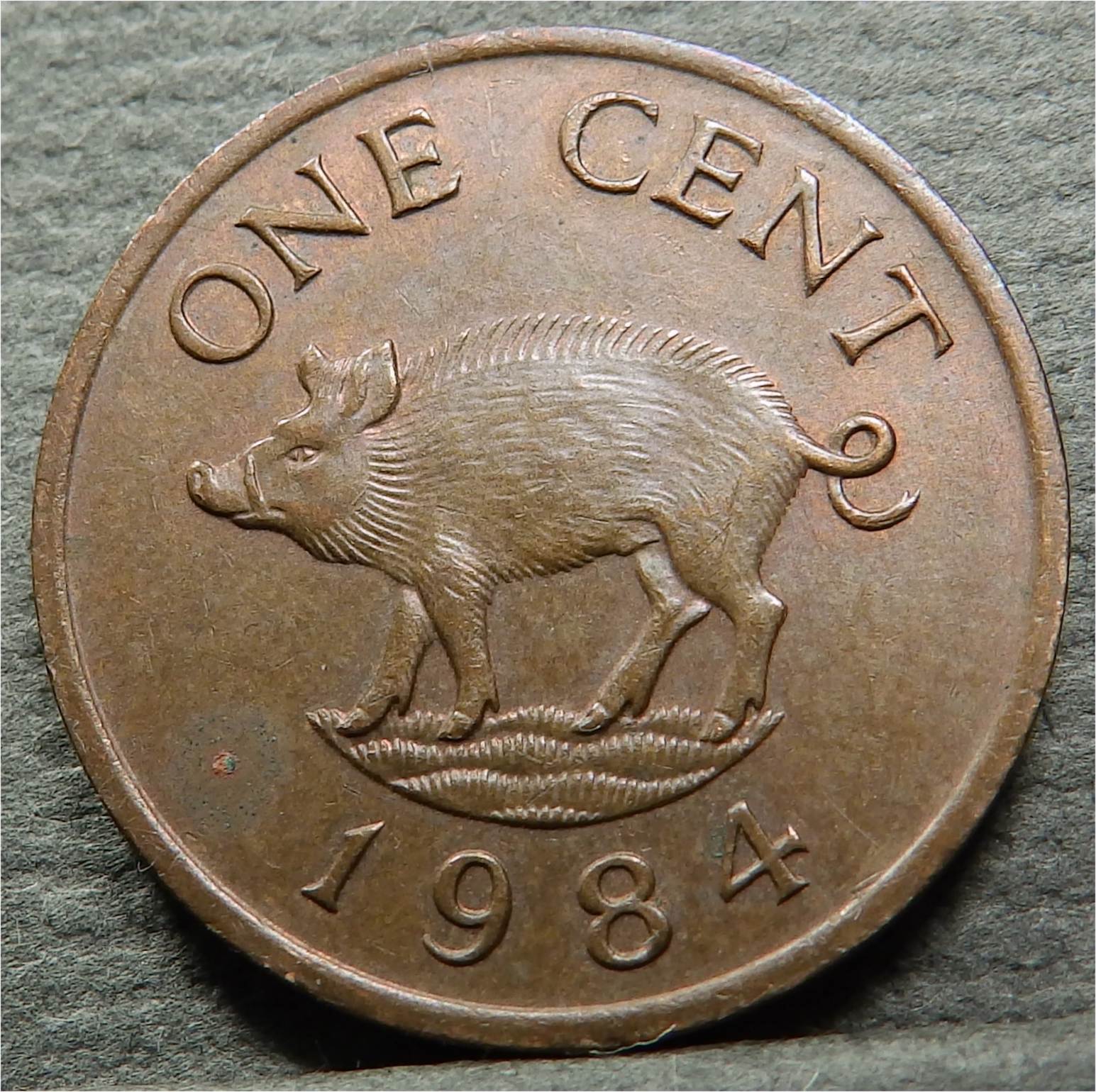 Jeff Bermuda cent 1984 rev.jpg