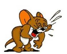 jerry-laughing.jpg