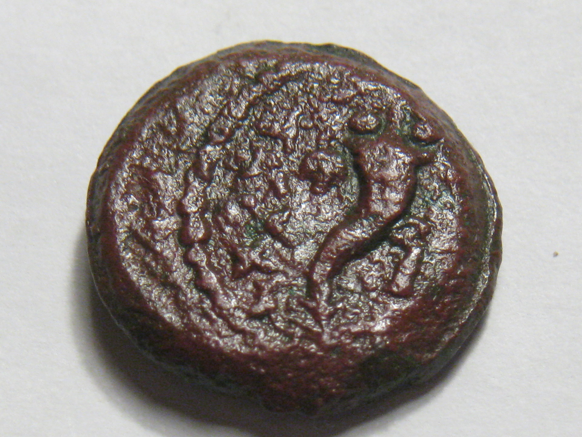 jewish coins 006.JPG