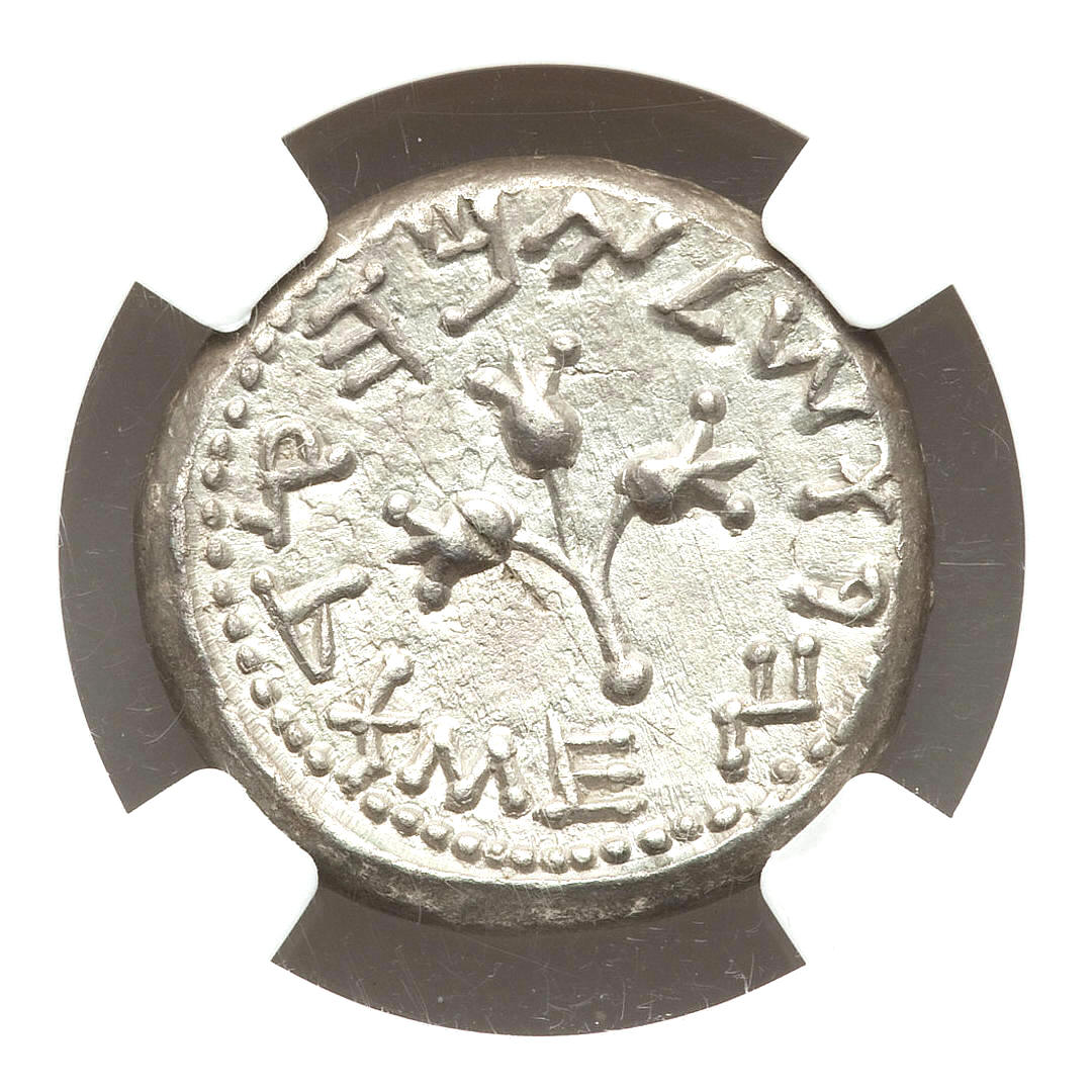 Jewish War Shekel, Yr. 2, Ex J. Malter, rev..jpg