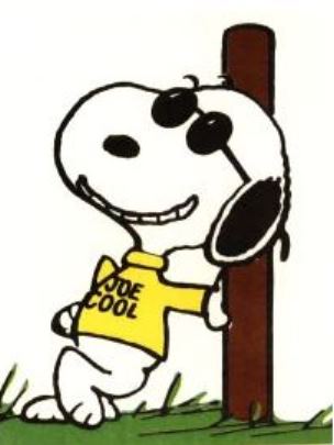 Joe Cool.JPG