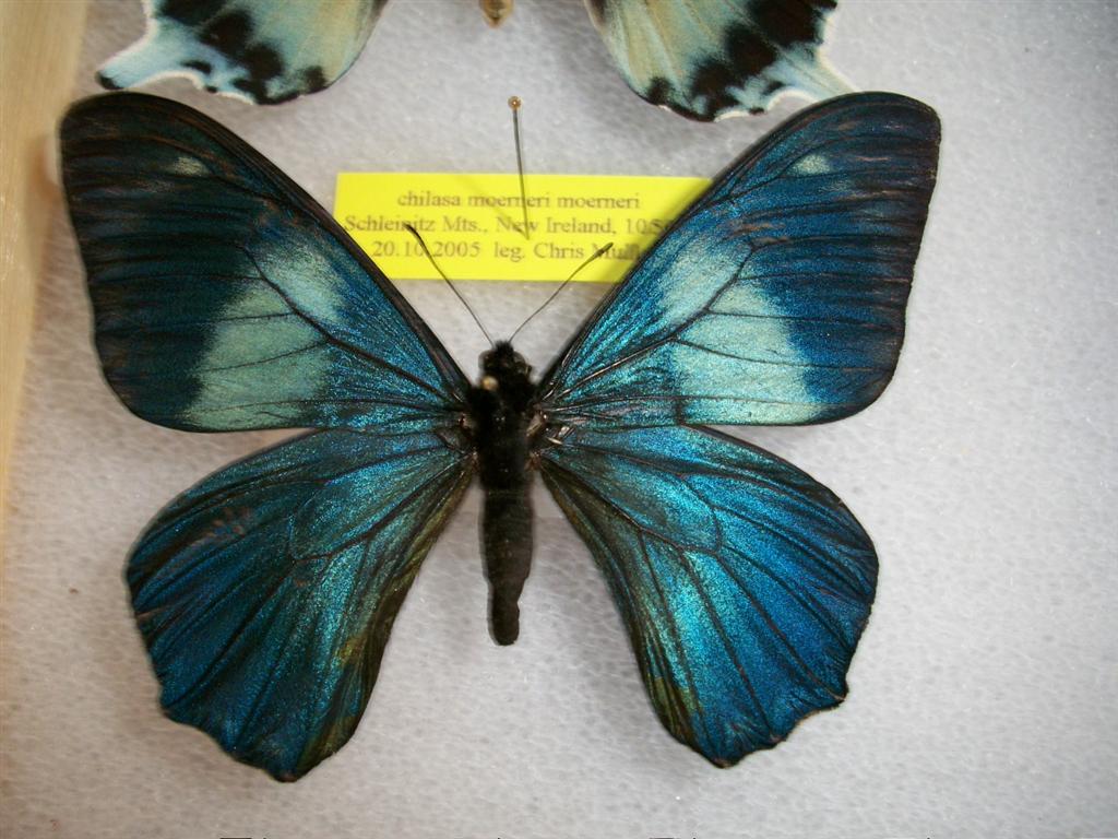 john 080 (Large).jpg