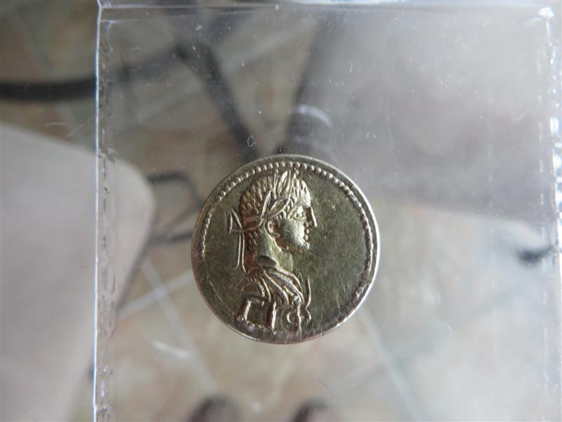 john photos 1 036 (Medium).jpg