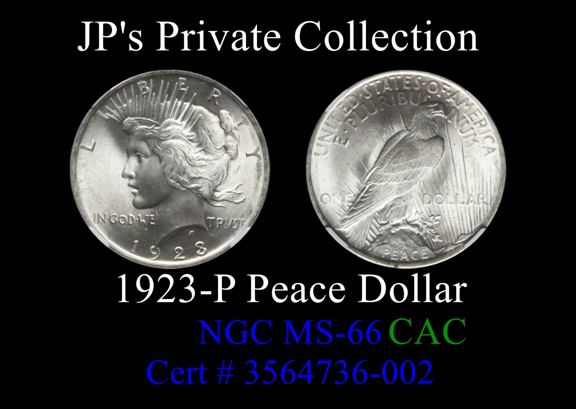 jp 1923 ms66 peace.jpg