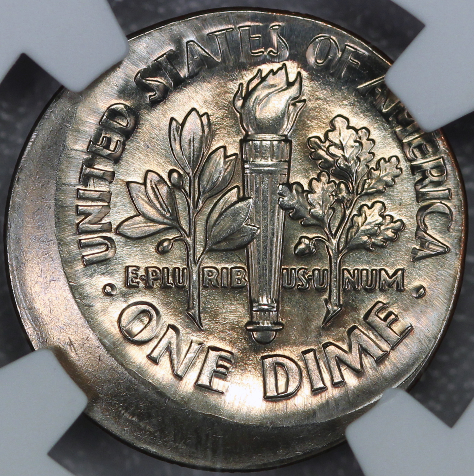 JPA1002 reverse.JPG