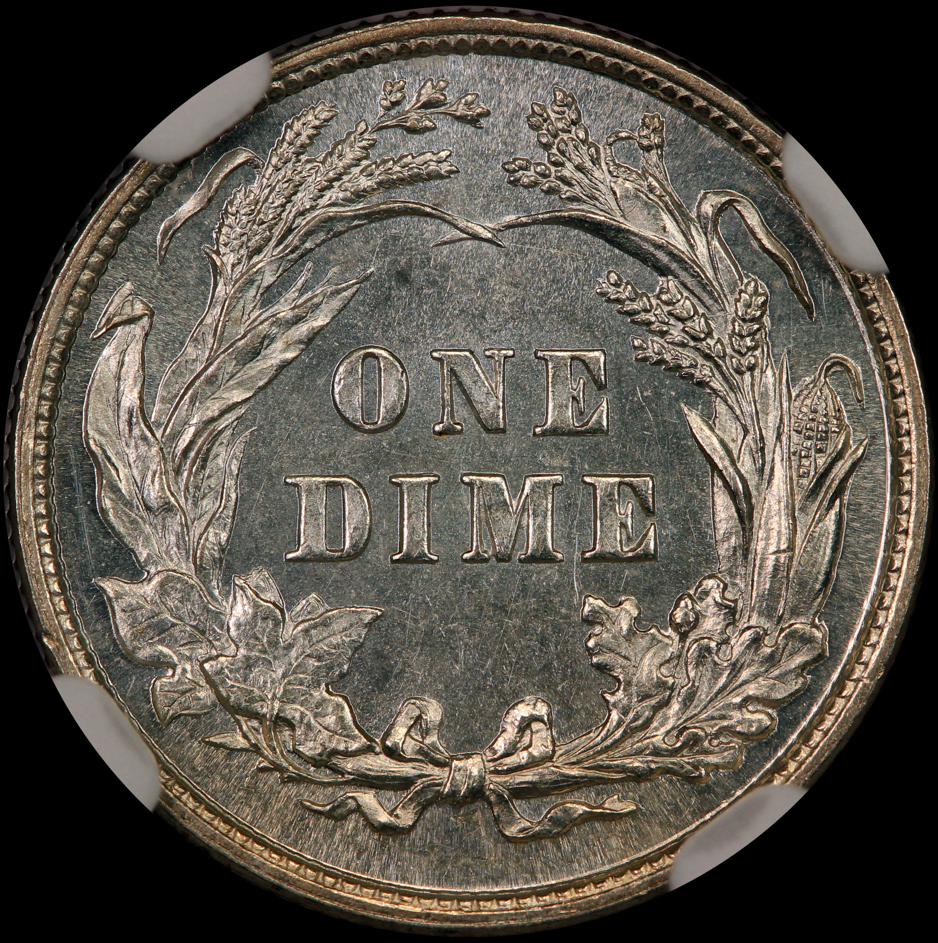JPA1017 reverse.jpg
