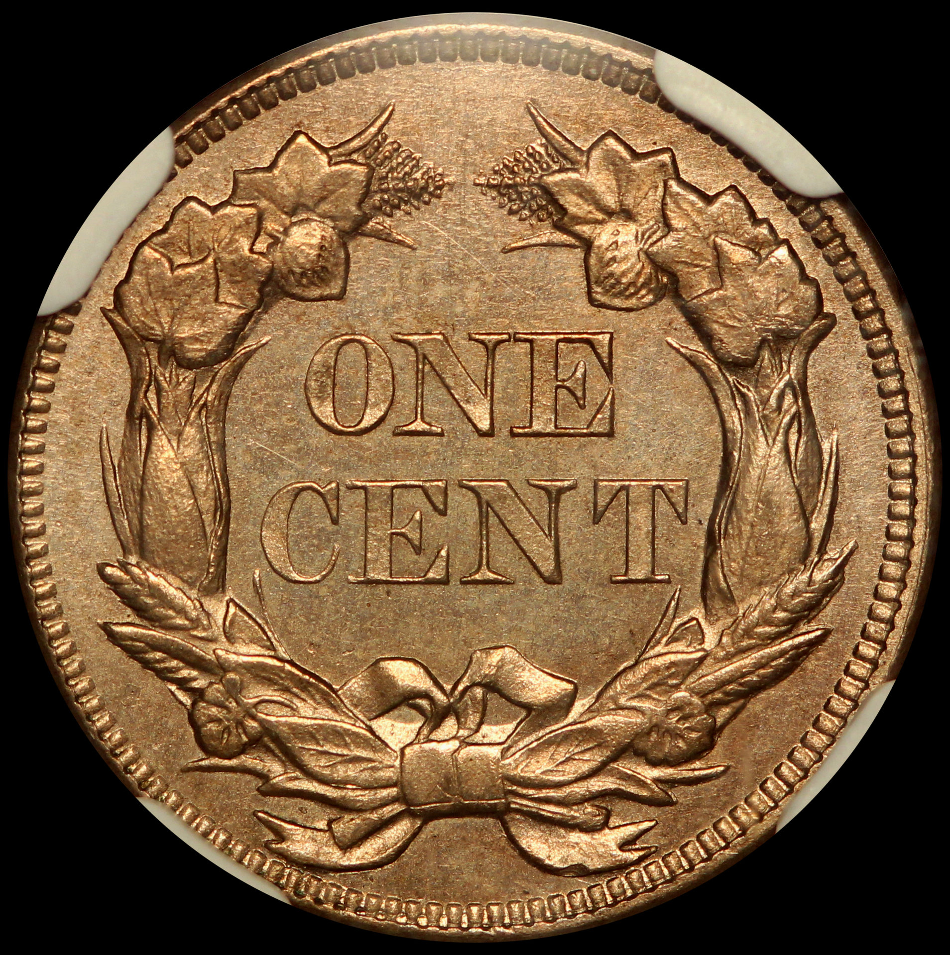 JPA1038 reverse.jpg