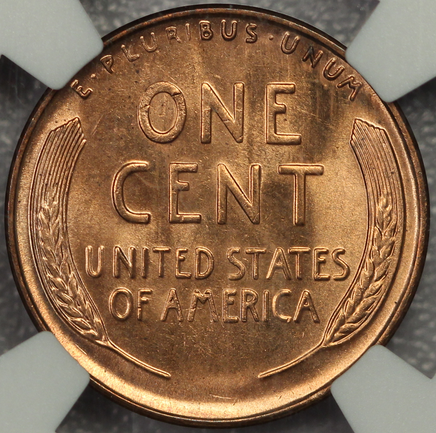 JPA1079 reverse.JPG