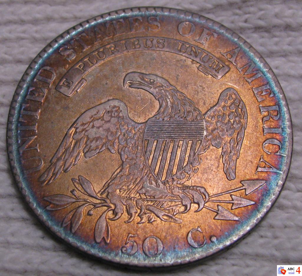JPA775 reverse.jpg