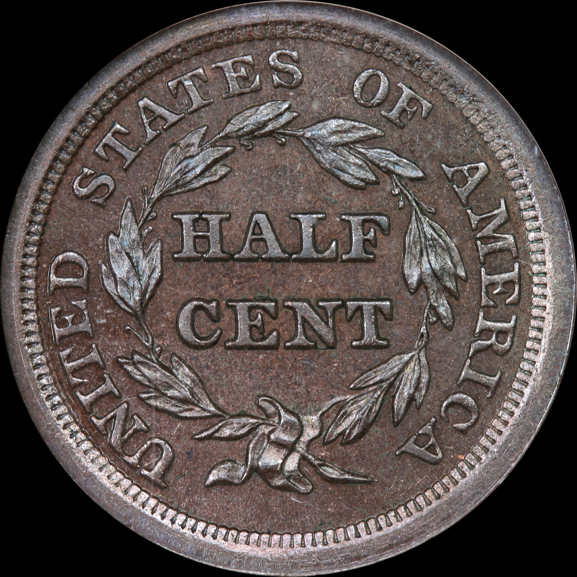 JPA865 reverse.jpg