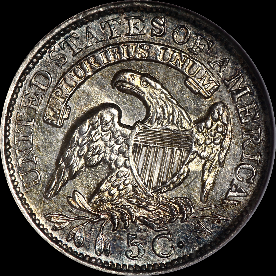 JPA919 reverse.jpg