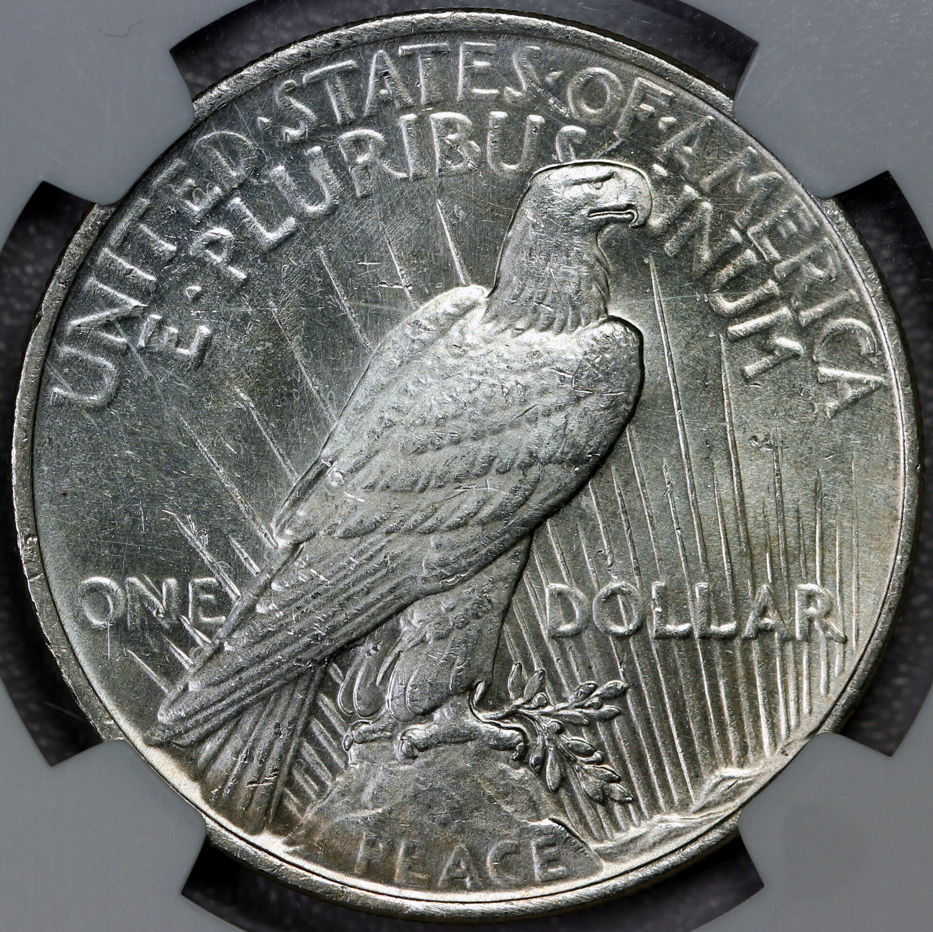 JPA937 reverse.JPG