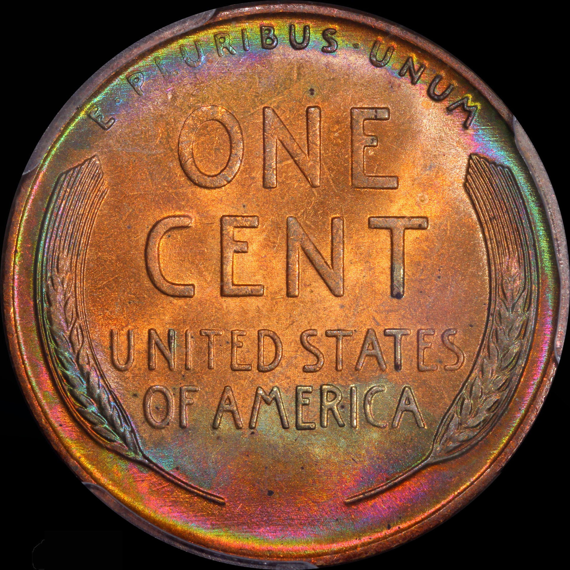 JPA956 reverse (2).jpg