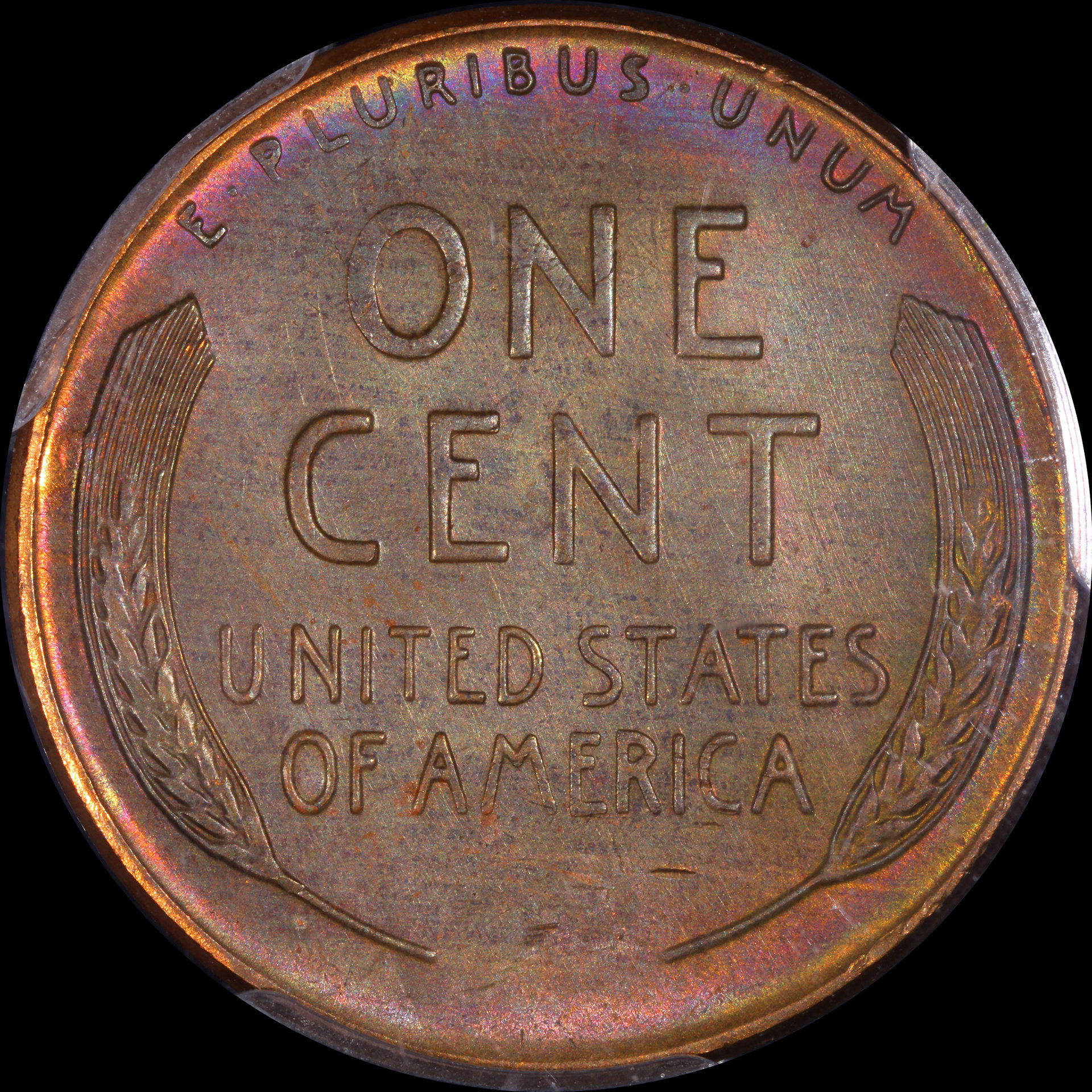 JPA987 reverse.jpg