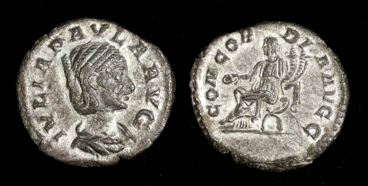 JPaula-den3b-sm.jpg