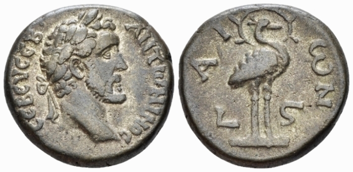 jpg Naville Lot 341 Ant Pius Egypt tetradrachm Yr 6 Phoenix Dattari Collection.jpg