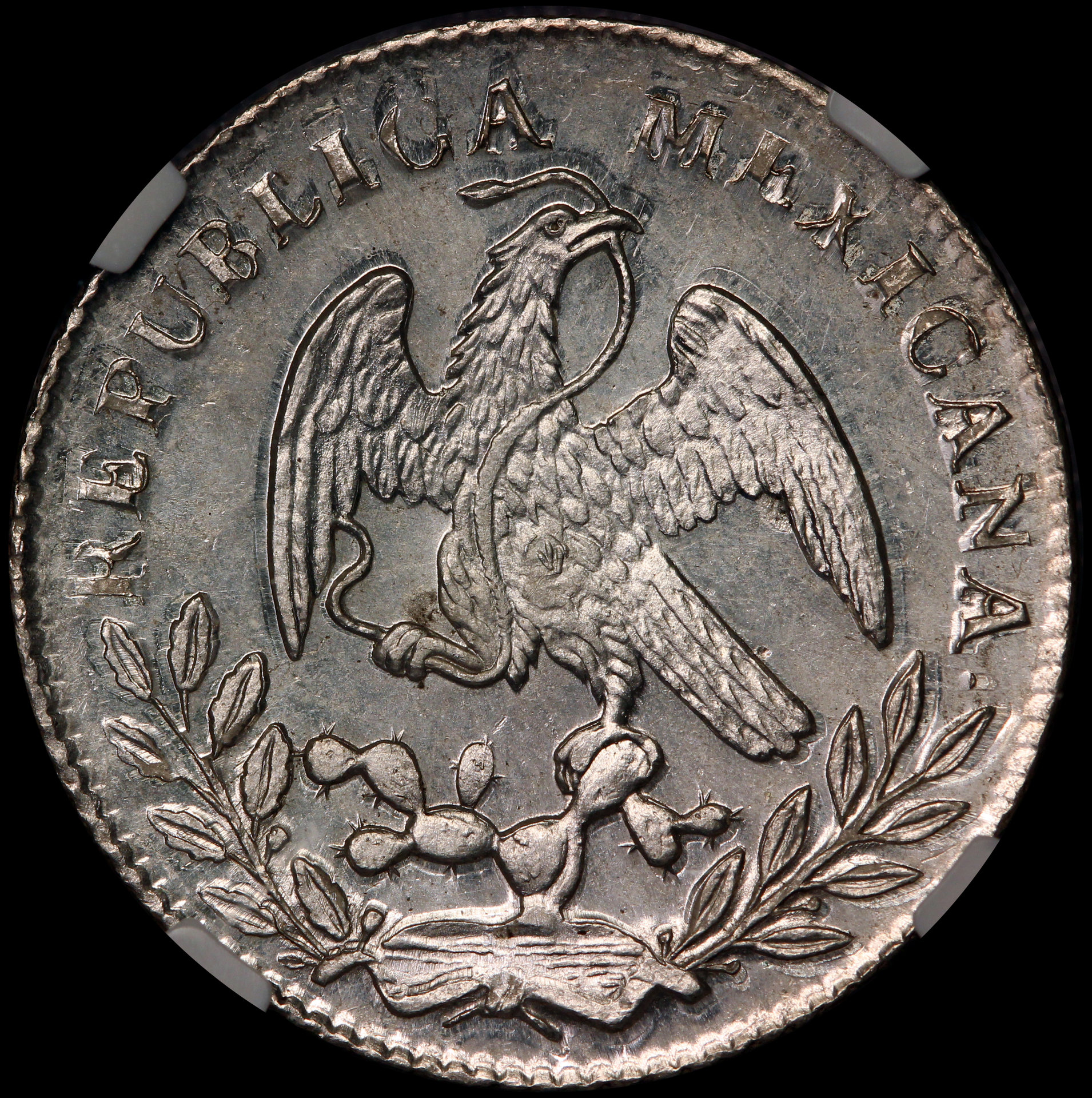 JPW627 reverse.jpg