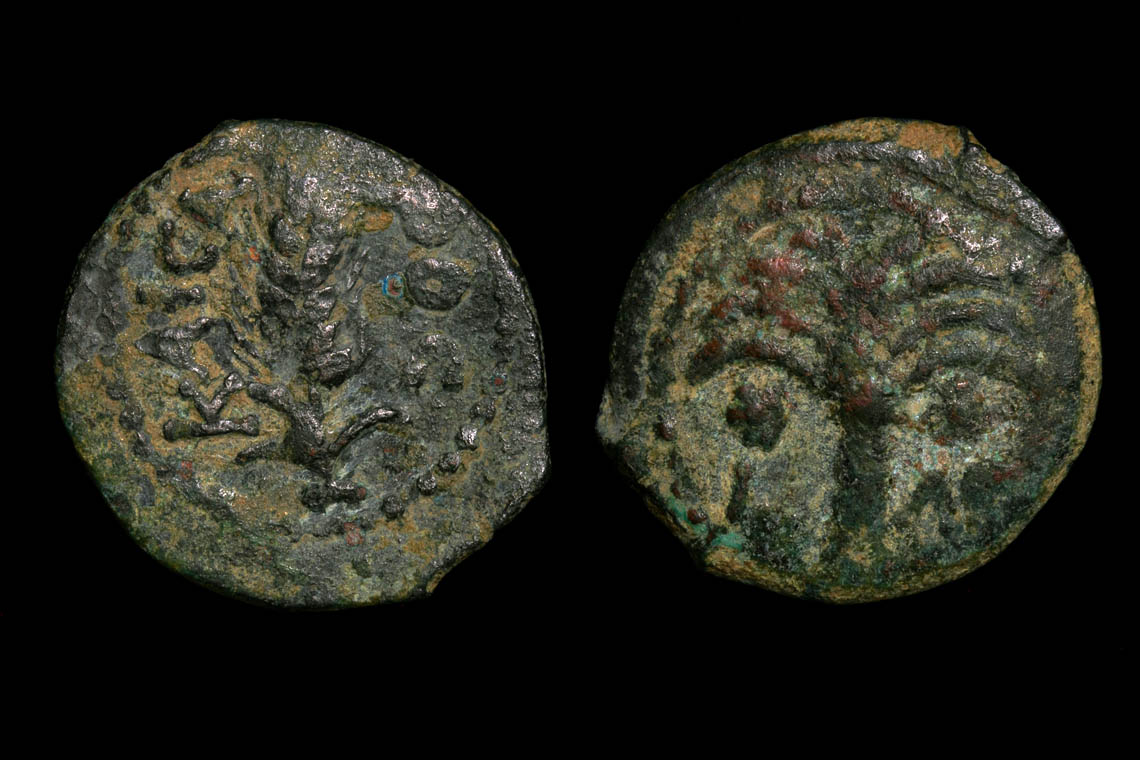 ju0158bb3273.jpg