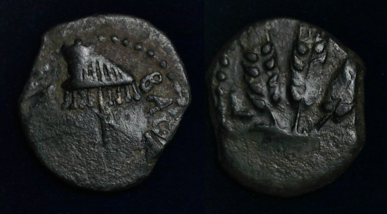 Judae Agrippa I prutah.jpg