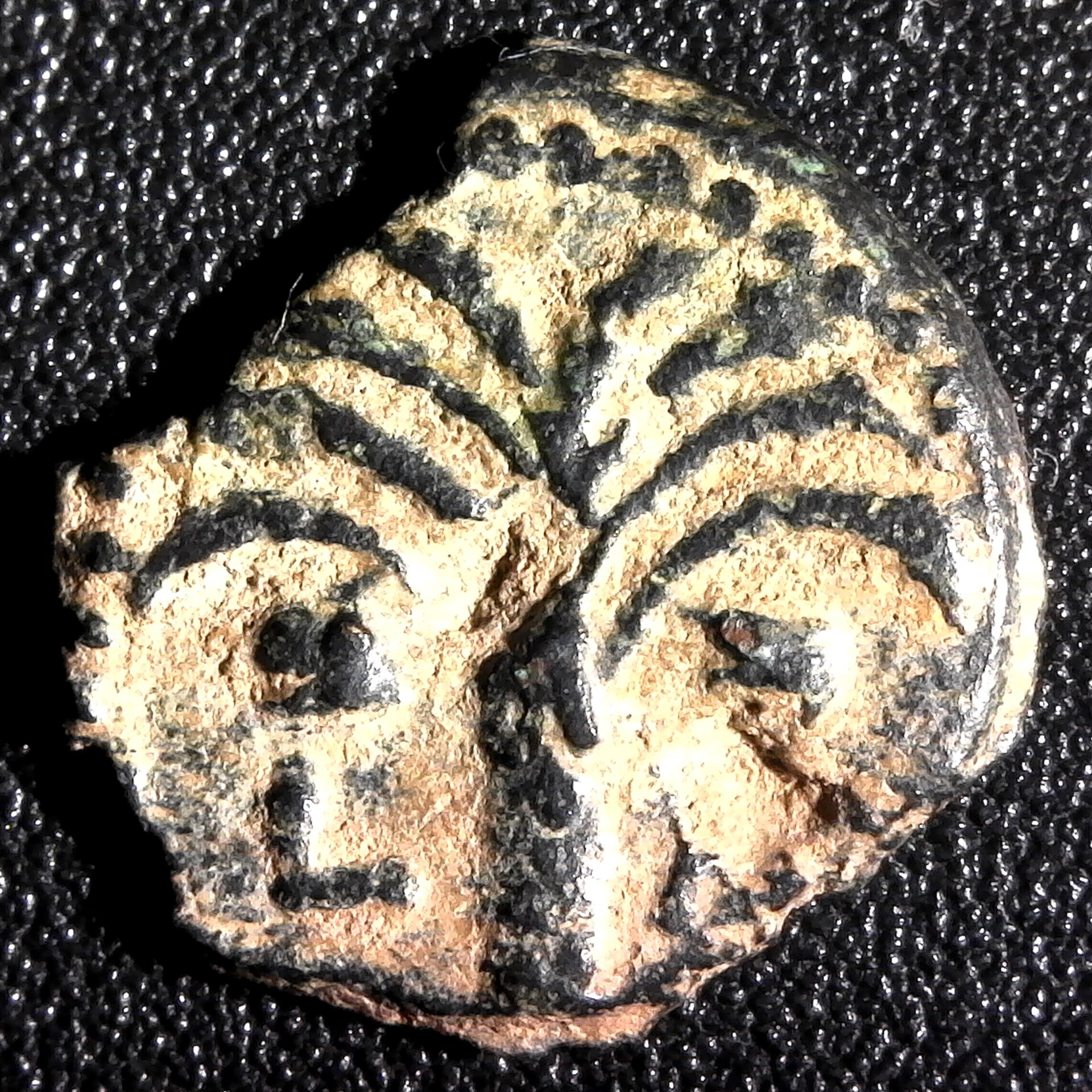 JUDAEA AMBIBULUS AD9-12 AE BRONZE PRUTAH  rev.jpg