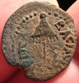 Judaea Herod Agrippa AE Prutah b.jpg