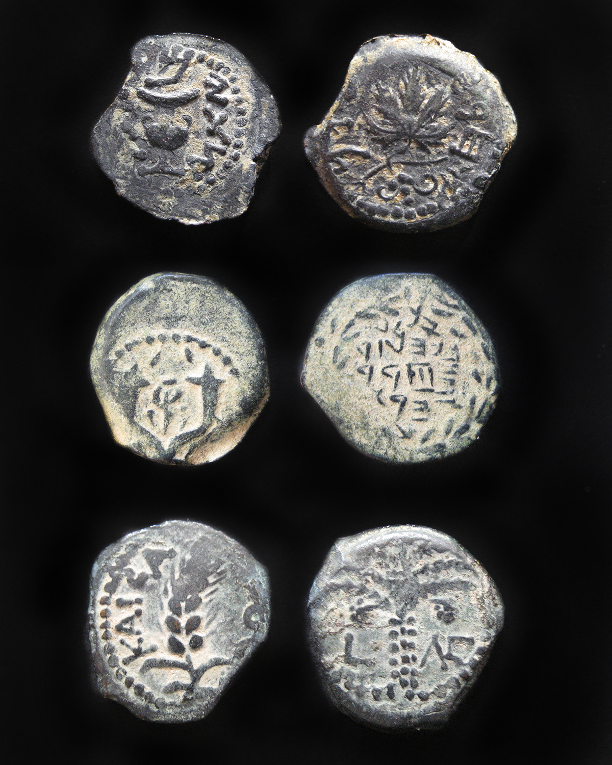 Judaean.png
