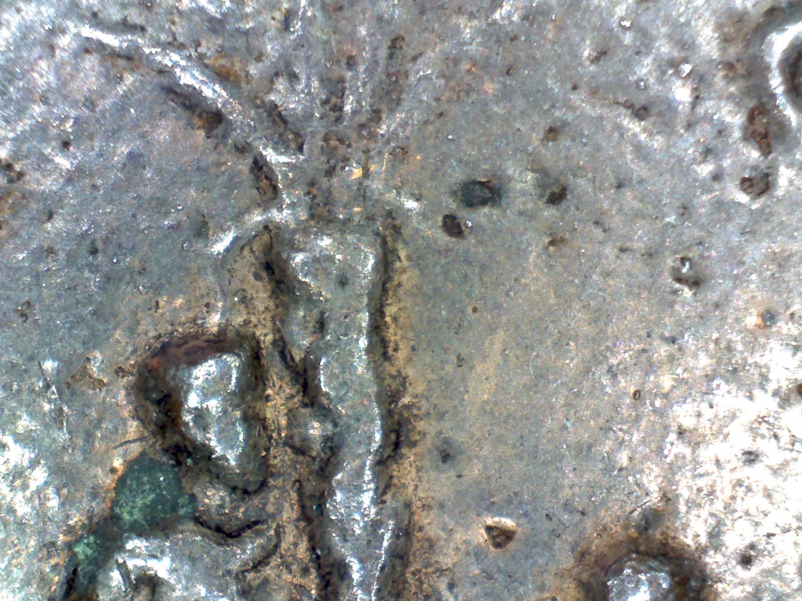 Judea Capta close up.jpg