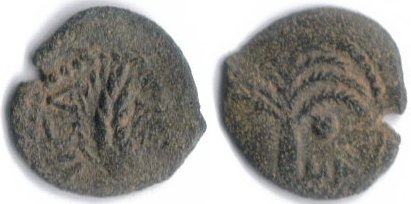 judea-marcus-ambibulus.jpg