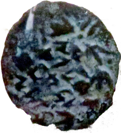 judian_zion_putah_2021_b_sm.jpg