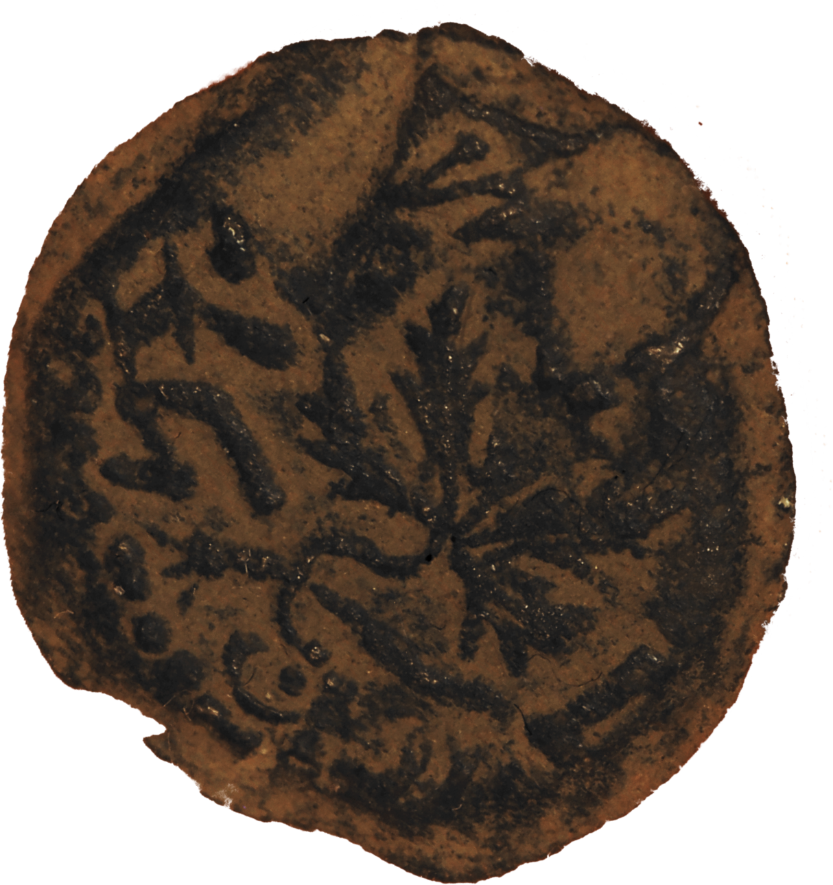 judian_zion_putah_2021_r.png