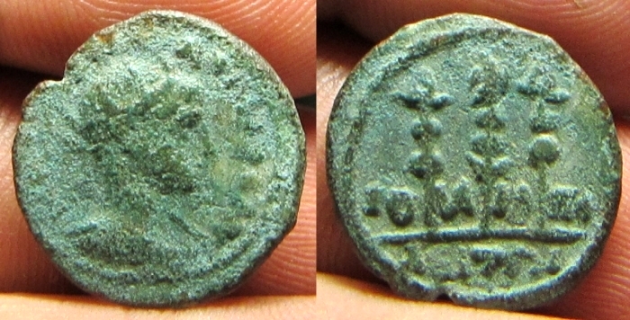 juiliopolis.jpg