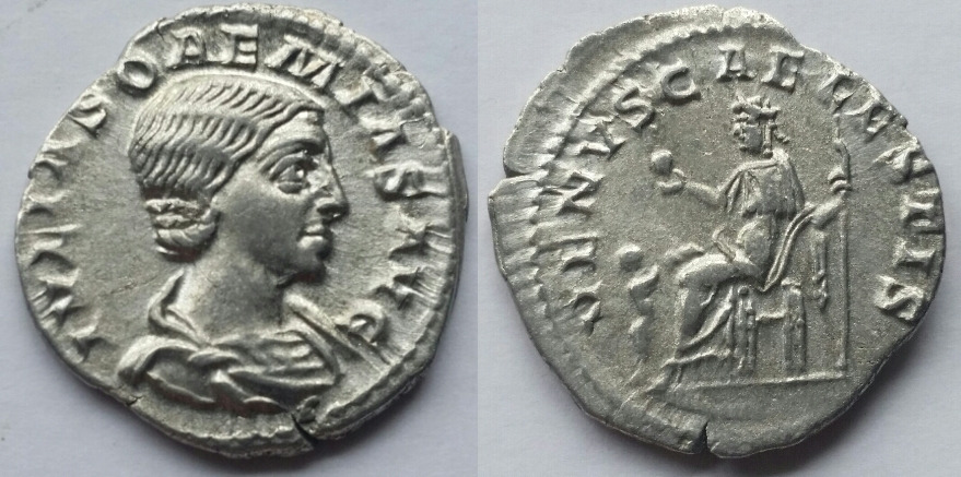 Julia doaemias venus caelestris.jpg