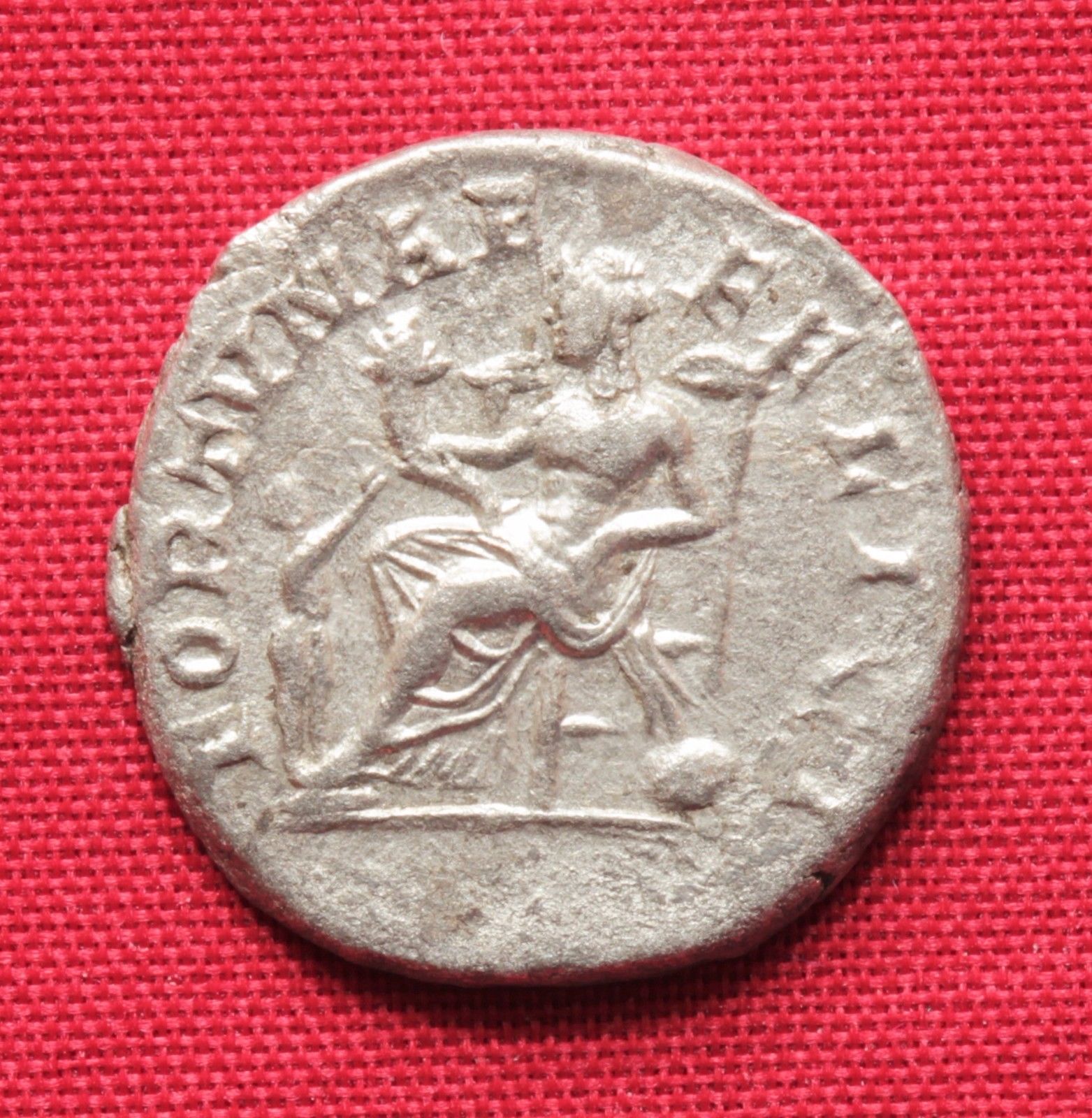 Julia Doma reverse.jpg