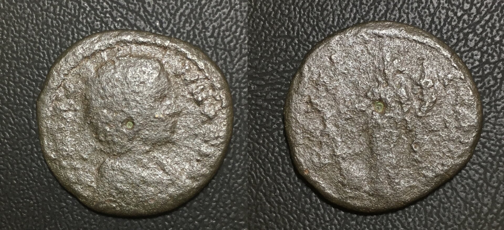 Julia Domna (2020_11_18 03_38_31 UTC).JPG