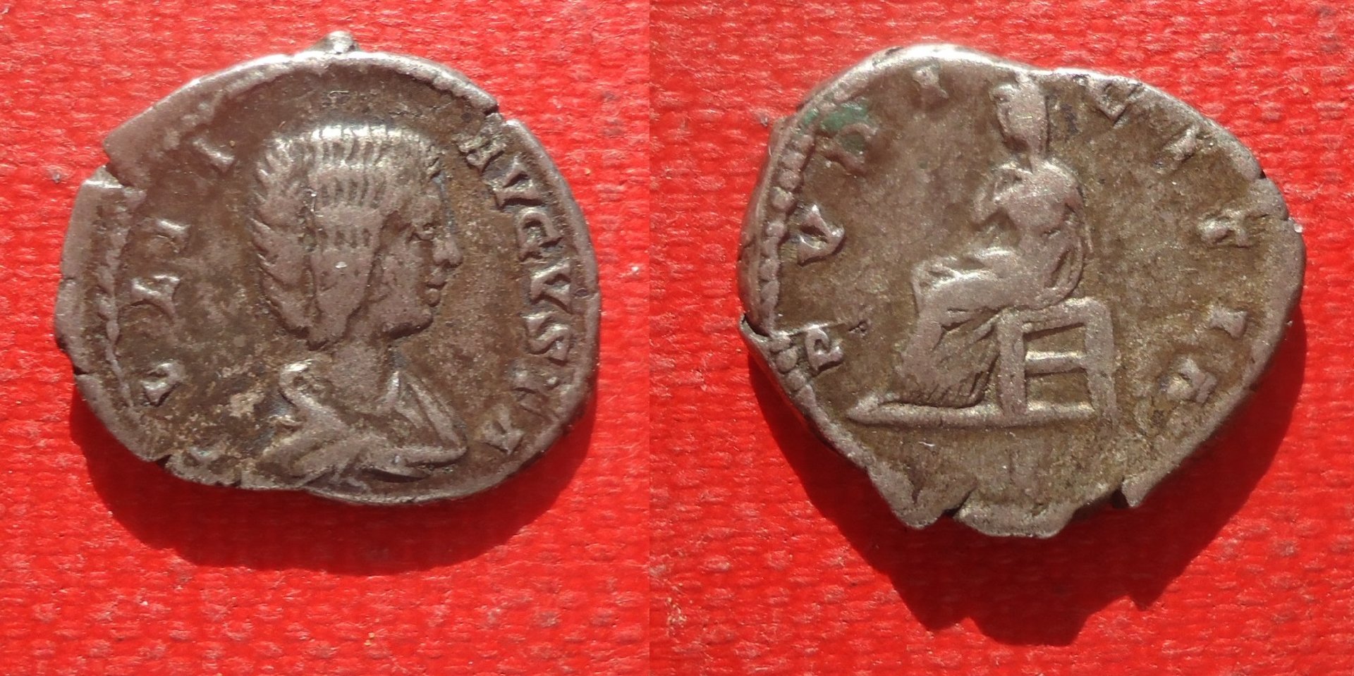 Julia Domna - Den. Pudicita Jan 2020 (0a).jpg