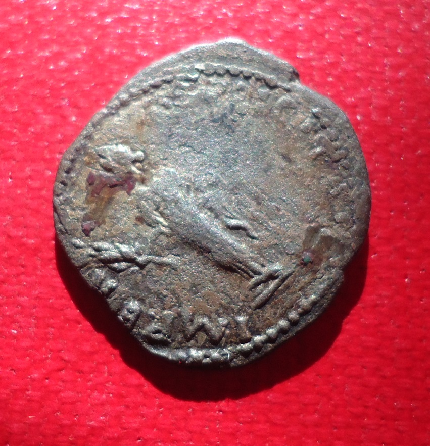 Julia Domna - Denarius Ugly Jan 19 (0det).jpg